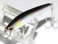  スミス パニッシュ 