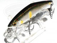  スミス D-コンタクト 