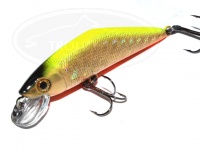  スミス D-コンタクト 