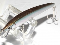  スミス パニッシュ 