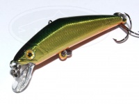  スミス D-コンパクト 