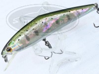  スミス D-コンタクト 