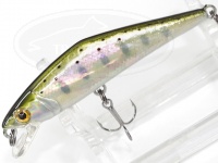  スミス D-コンタクト 