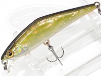  スミス D-コンタクト 