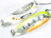  スミス D-Sライン 