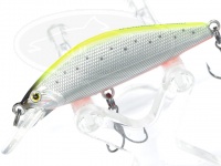  スミス D-コンセプト 