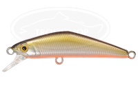  スミス D-コンパクト 