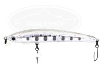  スミス パニッシュ 