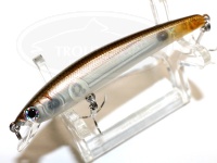  スミス パニッシュ 