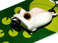  ジャクソン キャール 