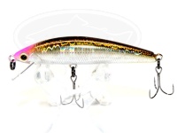  ジャクソン トラウトチューン 