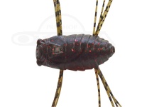  ジャクソン 久遠 