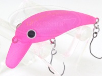  ムカイ グラントレモ 