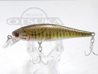  ラッキークラフト ビーフリーズ 