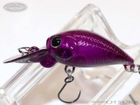  ラッキークラフト マイクロクラピー 