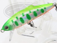  タックルハウス バフェット 