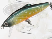  タックルハウス バフェット 