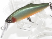  タックルハウス バフェット 