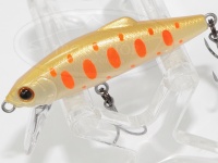  タックルハウス バフェット 