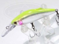  タックルハウス バフェット 