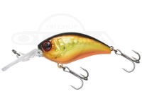  ジャッカル マッシュボブ 