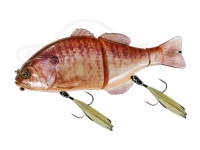  ジャッカル チビタレル 