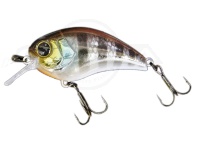  ジャッカル マッシュボブ 