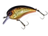  ジャッカル マッシュボブ 