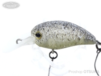  ティモン パニクラ 