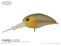  ティモン チビパニクラ 