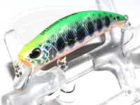  デュオ スピアヘッド 