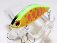  アムズデザイン イッセン 