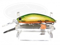  アムズデザイン アイマ スカリ 