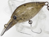  ディスプラウト チャタクラ 