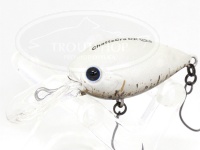  ディスプラウト チャタクラ 