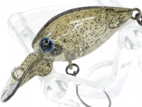  ディスプラウト チャタクラ 