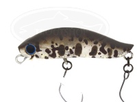  ディスプラウト イーグルプレーヤー 