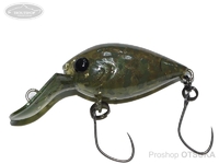  ディスプラウト チャタクラ 