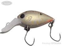  ディスプラウト チャタクラ 