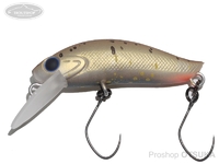  ディスプラウト イーグルプレーヤー 