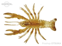  がまかつ ラグゼ ほぼザリ 