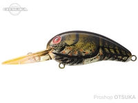  ダイワ ピーナッツ 