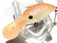  ティモン パニクラ 