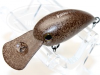  ティモン パニクラ 