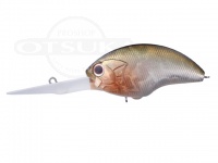  オーエスピー ブリッツ 