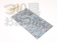  アングル シェルシート 