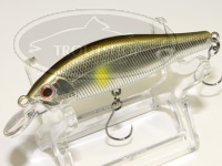  パームス アレキサンドラ 