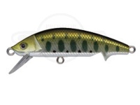  スプリーモ モフィー 