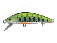  スプリーモ モフィー 