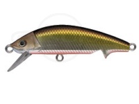  スプリーモ モフィー 